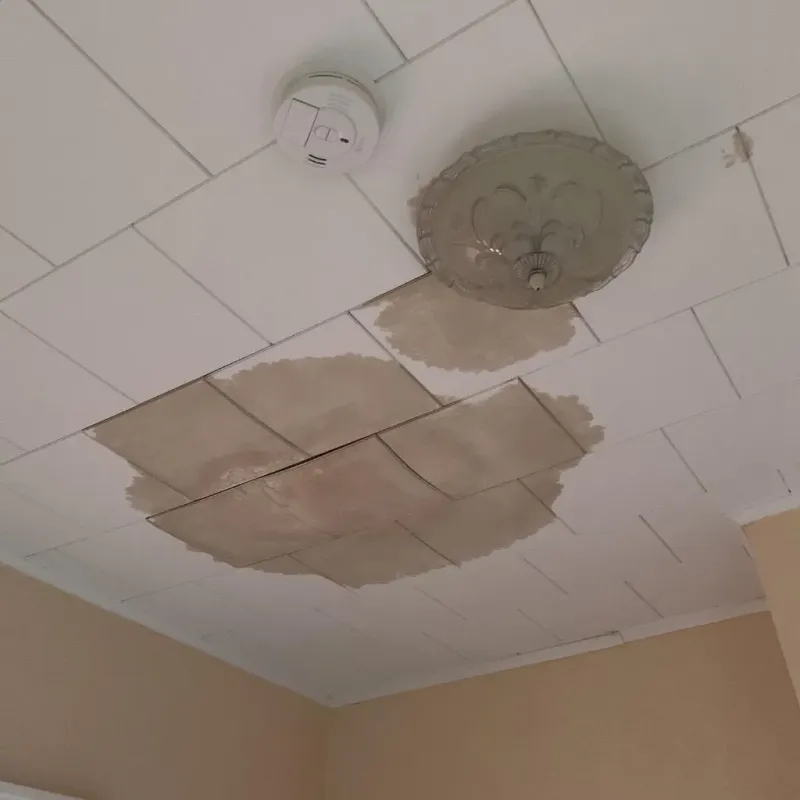 Ceiling Water Damage Repair in Obion County, TN