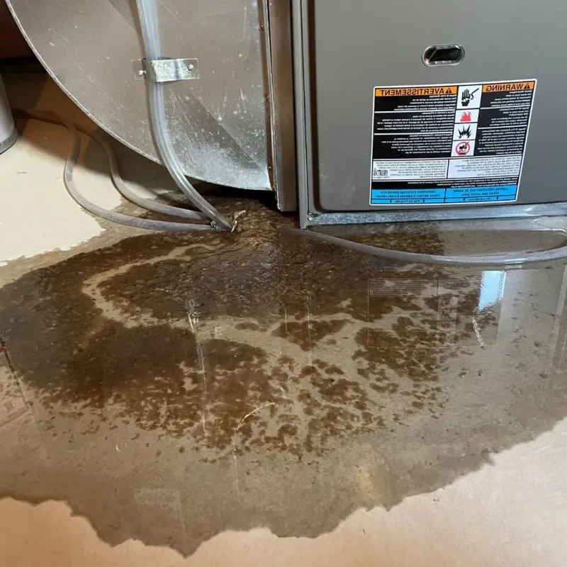 Pipe Burst and Leak Restoration in Obion County, TN
