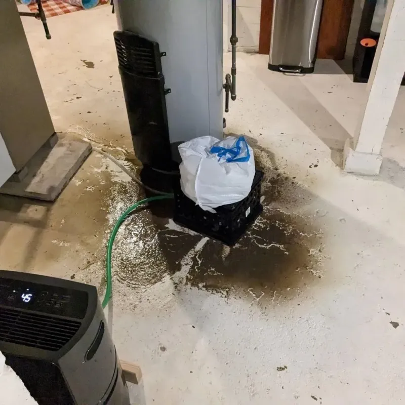 Sewage Backup Cleanup Service in Obion County, TN